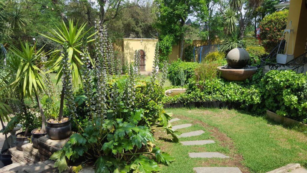 Villa Mikamora ヨハネスブルグ エクステリア 写真